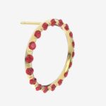 Nova Passion – Image 4